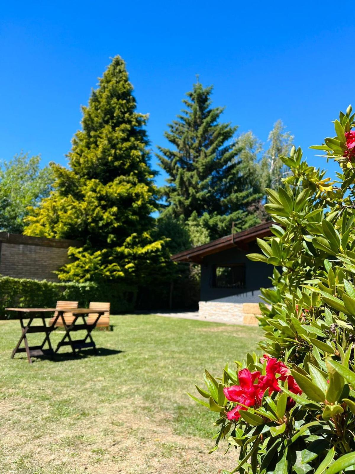 Las Vinas Hostel Boutique Сан-Карлос-де-Барілоче Екстер'єр фото